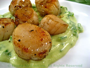 Grilled Scallops on Avocado Sauce