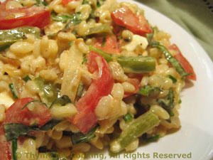 Barley Salad with Red and Green Peppers